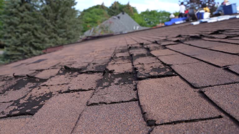 Roof Insulation in Gregory, SD